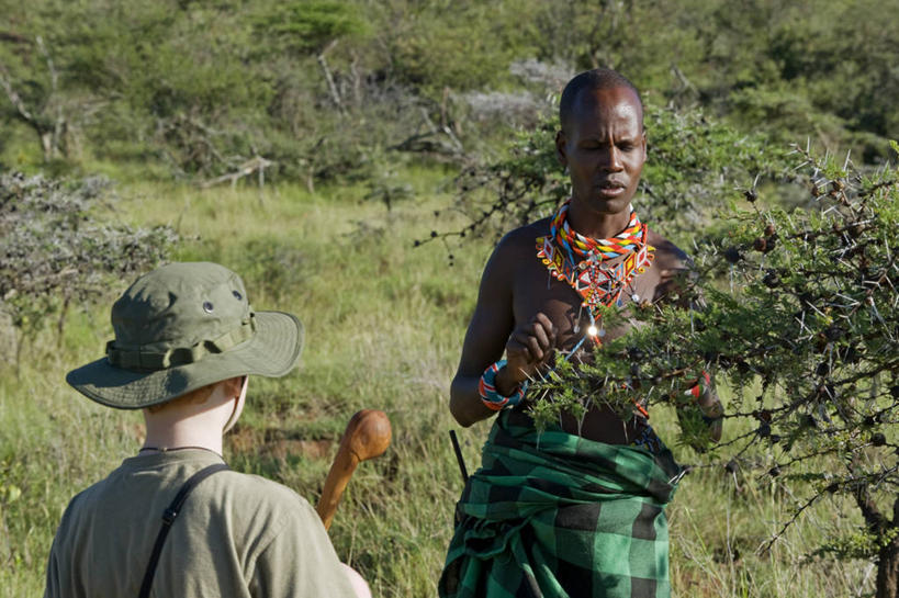 无人,横图,酒店,非洲,肯尼亚,摄影,彩图,旅行