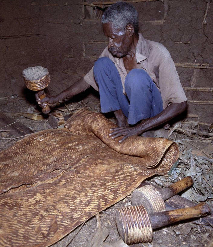 一个人,竖图,神秘,非洲,乌干达,褐色,树皮,摄影,创造力,无花果树,彩图