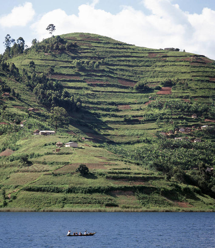 无人,农场,竖图,室外,农业,梯田,农作物,湖,非洲,乌干达,田地,摄影,彩图