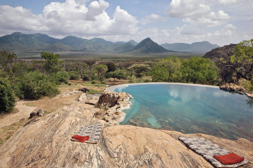 无人,横图,非洲,肯尼亚,花朵,树,红色,自然,摄影,凤凰木,彩图,旅行