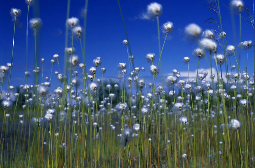 划船,皮划艇,两个人,横图,室外,度假,水,船,美国,木船,刺激,黄色,红色,交通工具,摄影,舟,国家公园,载具,独木舟,独木船,荡舟,冒险,彩图,皮船