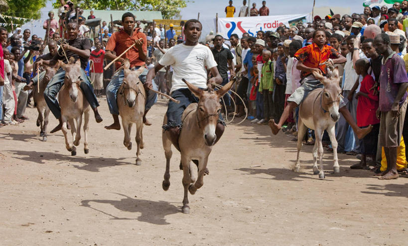 儿童,成年人,横图,锻炼,快乐,比赛,运动,竞争,非洲,肯尼亚,娱乐,刺激,休闲,活力,摄影,体育运动,群众,驴子,阿伦岛,体育,男孩,男人,彩图,健身,旅行,传统文化