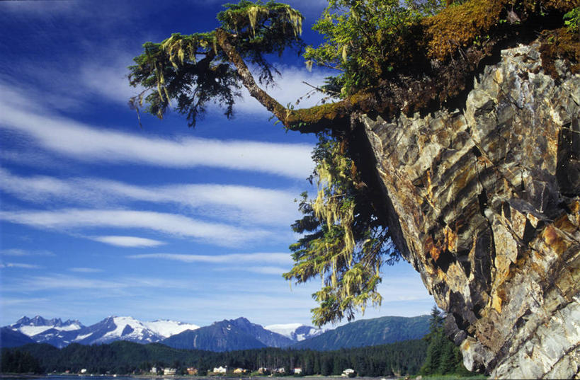 无人,横图,室外,山,山脉,雪山,美国,地形,悬崖,地衣,树,风景,摄影,岩石,彩图