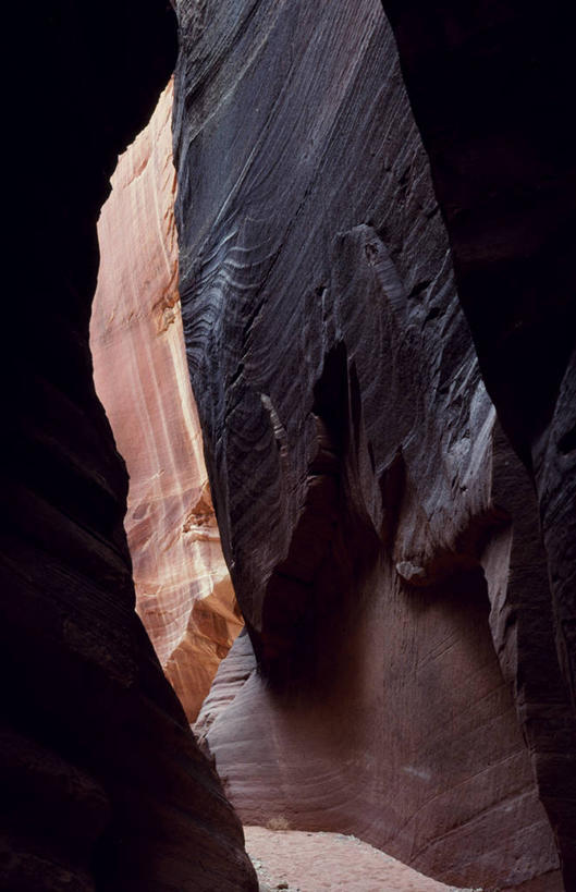 无人,横图,失败,门,美国,废弃,木制,门口,摄影,报废,废物,贫穷,丢弃,放弃,抛弃,科罗拉多州,肌理,摈弃,破败,彩图,屏弃,摈斥,摒除