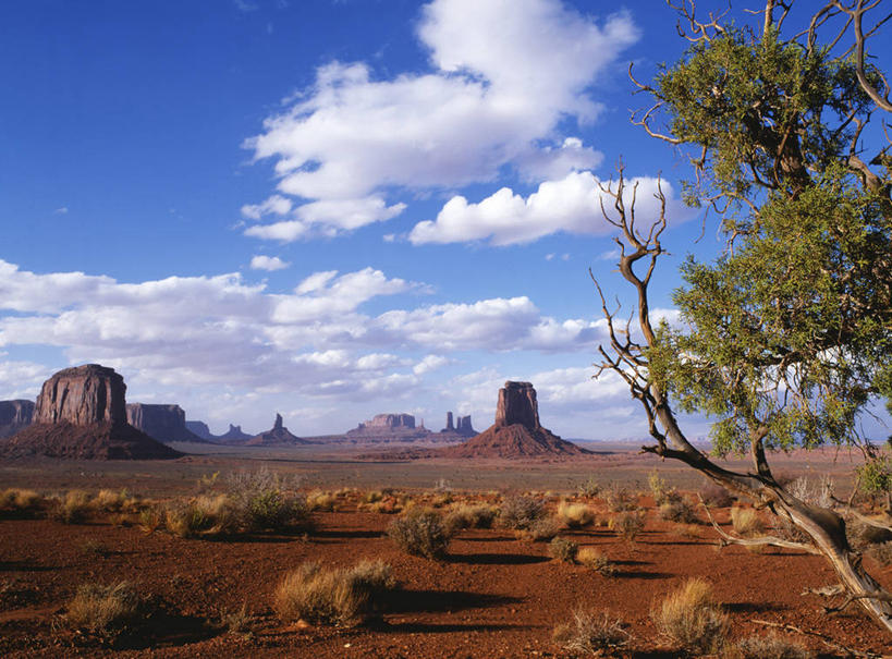 无人,横图,俯视,航拍,室外,白天,太阳,峡谷,日光,美国,阴影,地形,山谷,树,打开,摄影,开启,早晨,岩层,鸟瞰,连指手套,纪念碑山谷,犹他,岩石,彩图,高角度拍摄