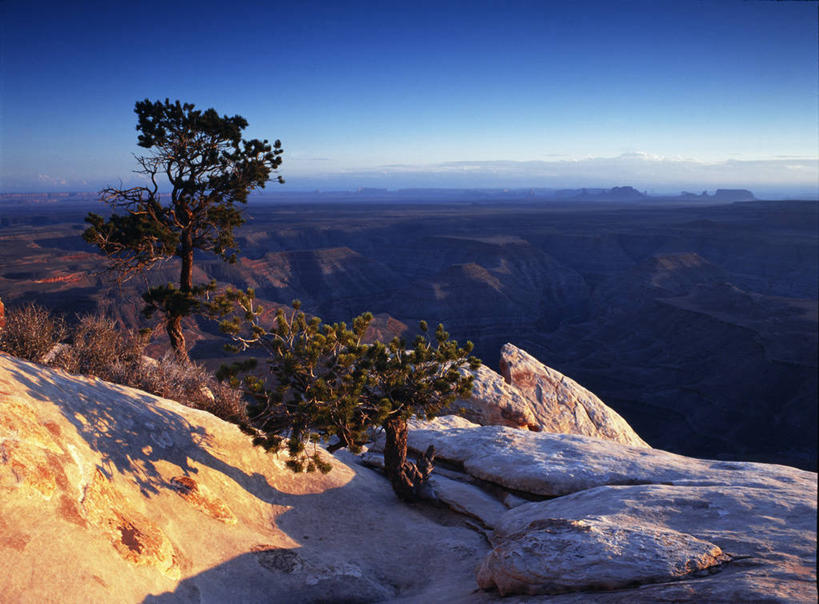 无人,横图,俯视,航拍,室外,白天,太阳,峡谷,日光,美国,阴影,地形,山谷,树,打开,摄影,开启,早晨,岩层,鸟瞰,连指手套,纪念碑山谷,犹他,岩石,彩图,高角度拍摄