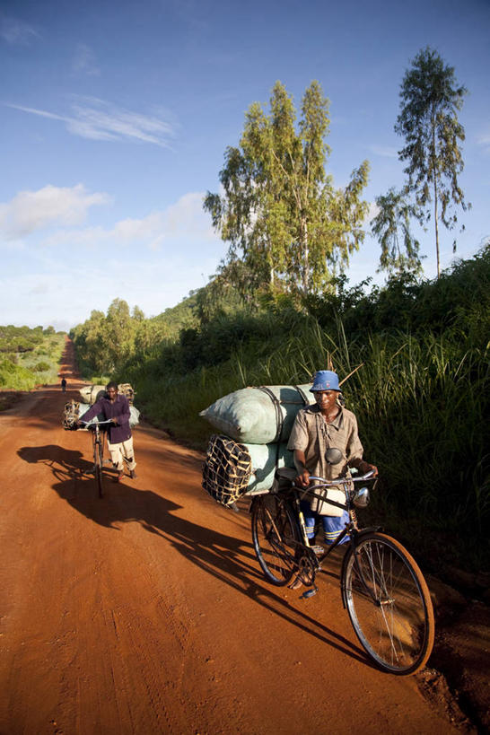 竖图,山,路,自行车,非洲,莫桑比克,泥土,车,脚踏车,骑,红色,交通工具,骑车,摄影,早晨,运送,载具,煤,装货,彩图,旅行