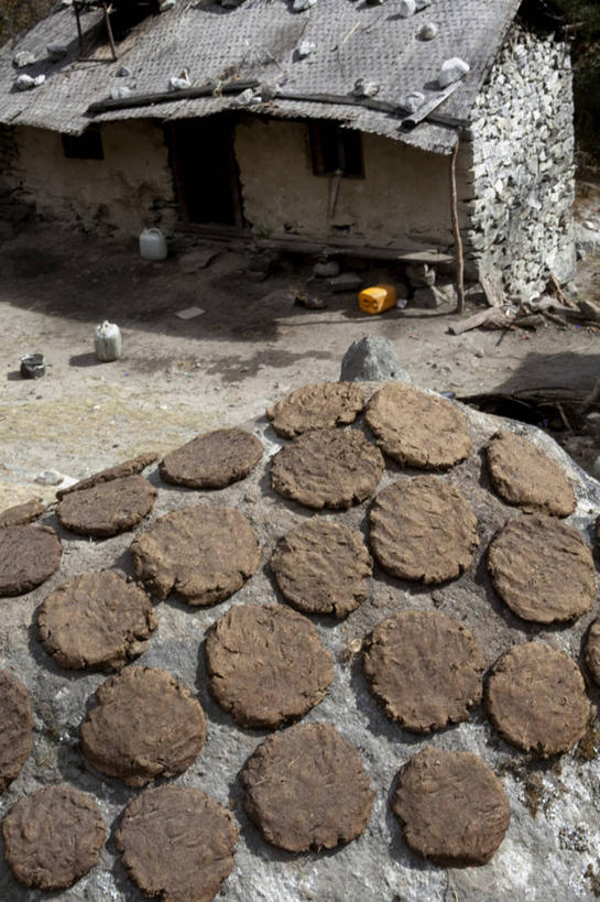 无人,竖图,室外,尼泊尔,亚洲,房屋,热,摄影,能源,喜马拉雅山脉,化石燃料,烘干,牦牛,烹调,彩图,旅行,传统文化