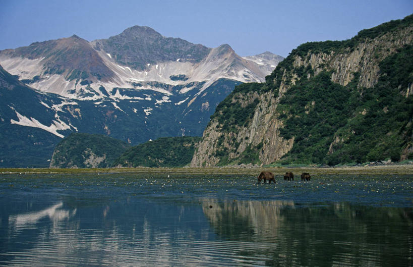 无人,横图,室外,河流,山,山脉,水,哺乳动物,野生动物,熊,美国,反射,小熊,动物,摄影,北美,幼兽,北半球,棕熊,彩图,海港