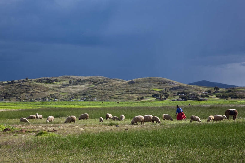 成年人,丈夫,妻子,横图,室外,农业,湖,水,秘鲁,表演,岛,田地,乐器,南美,调情,摄影,长笛,拉丁美洲,普诺,的的喀喀湖,异性恋,塔奇拉,男人,男性,女人,女性,岩石,彩图,传统服装,旅行,摇摆舞,伴侣,传统文化