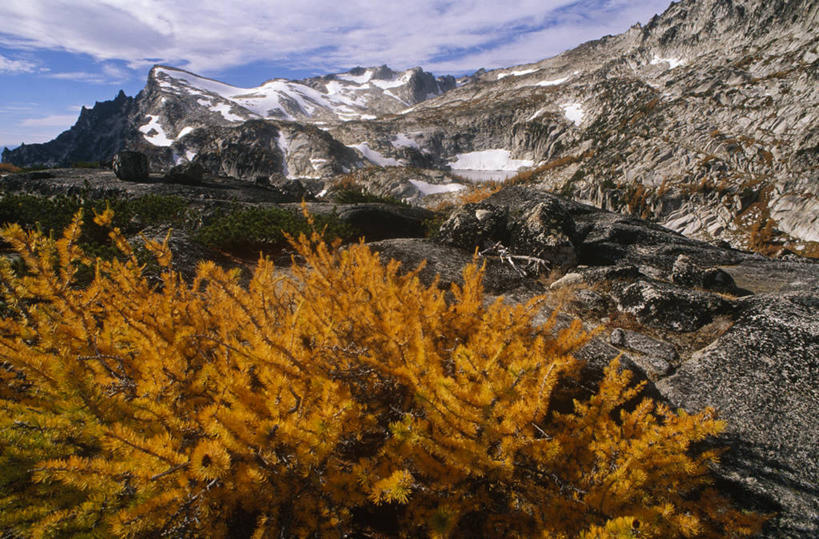 无人,横图,彩色,室外,探险,山,山脉,美国,树,风景,季节,摄影,五颜六色,色彩斑斓,北美,北美洲,美洲,五彩缤纷,华盛顿州,落叶松,北亚美利加洲,亚美利加洲,五彩斑斓,国家森林公园,五光十色,美国人,秋天,彩图,美利坚合众国