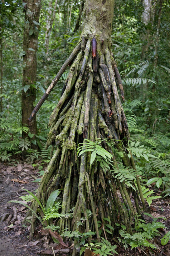 无人,竖图,室外,山,路,秘鲁,小路,山谷,南美,摄影,南美洲,山脊,拉丁美洲,美洲,秘鲁共和国,库斯科,首府,亚美利加洲,南亚美利加洲,玉米之仓,安地斯山脉,库斯科省,彩图,旅行,库斯科大区
