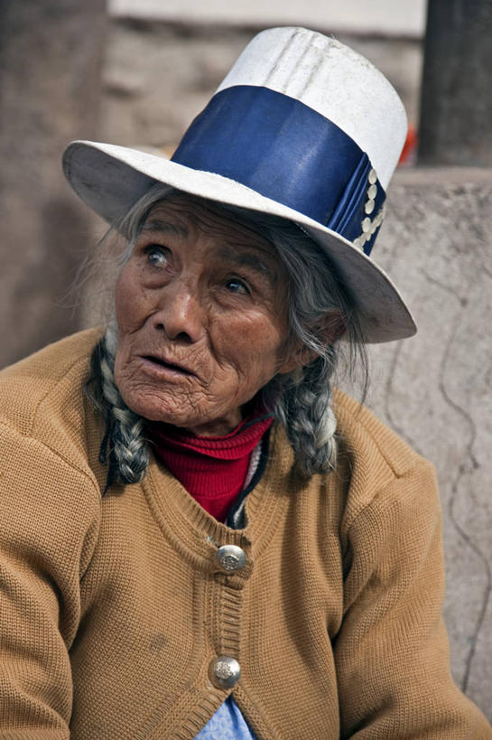 一个人,竖图,野生动物,鹦鹉,秘鲁,鸟类,绿色,南美,摄影,拉丁美洲,彩图,旅行