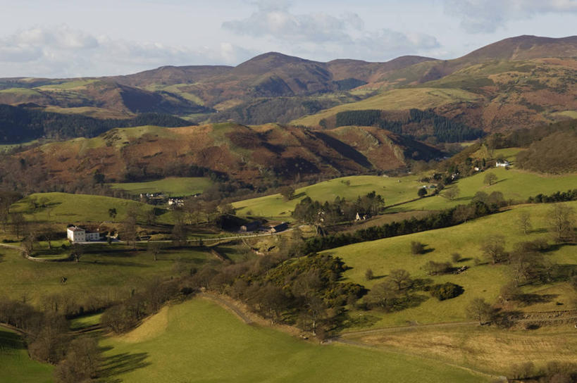 无人,横图,室外,美景,树林,白桦树,日光,英国,木制,地形,景观,冬天,小路,山谷,树,自然,景色,摄影,自然风光,威尔士,登比郡,彩图