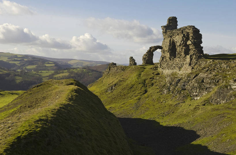 无人,横图,室外,美景,树林,白桦树,日光,英国,木制,地形,景观,冬天,小路,山谷,树,自然,景色,摄影,自然风光,威尔士,登比郡,彩图