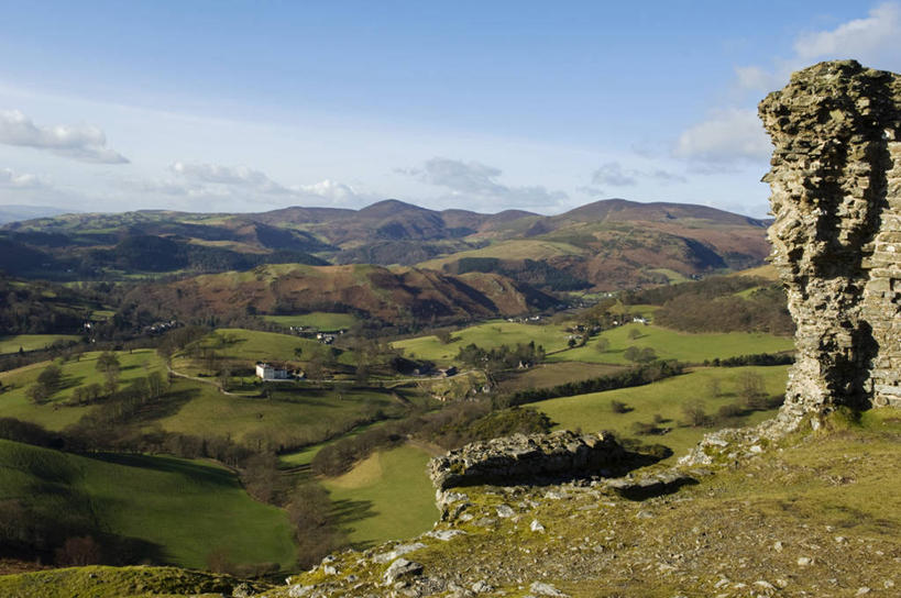 无人,横图,室外,美景,树林,白桦树,日光,英国,木制,地形,景观,冬天,小路,山谷,树,自然,景色,摄影,自然风光,威尔士,登比郡,彩图