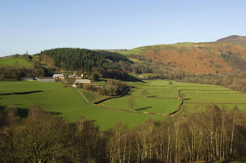 无人,横图,室外,爱情,建筑,英国,房屋,庭院,浪漫,绿色,温暖,温馨,恩爱,恋人,摄影,和睦,住房,同性恋,威尔士,哥特式风格,登比郡,树篱,情侣,设计,彩图,伴侣,融洽