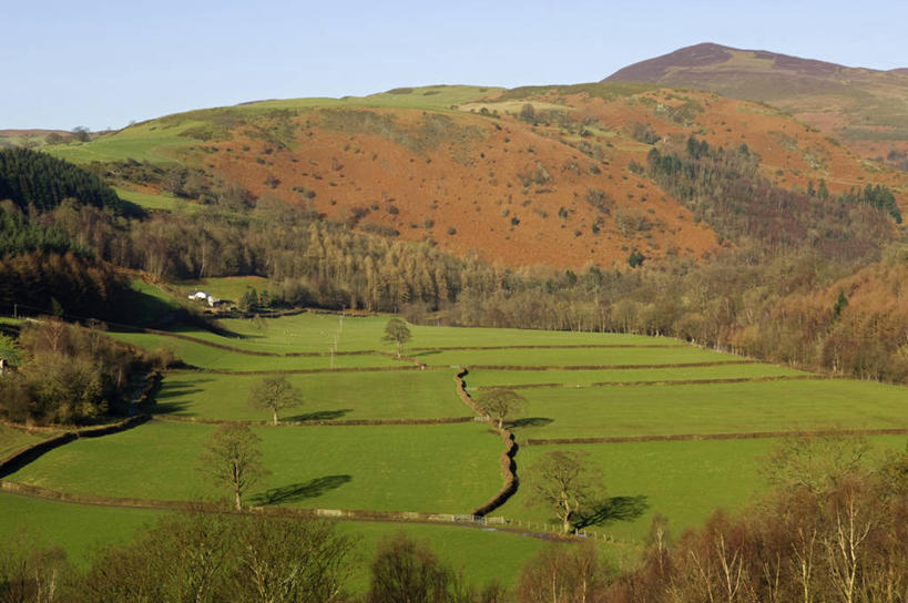 无人,横图,室外,爱情,建筑,英国,房屋,庭院,浪漫,绿色,温暖,温馨,恩爱,恋人,摄影,和睦,住房,同性恋,威尔士,哥特式风格,登比郡,树篱,情侣,设计,彩图,伴侣,融洽