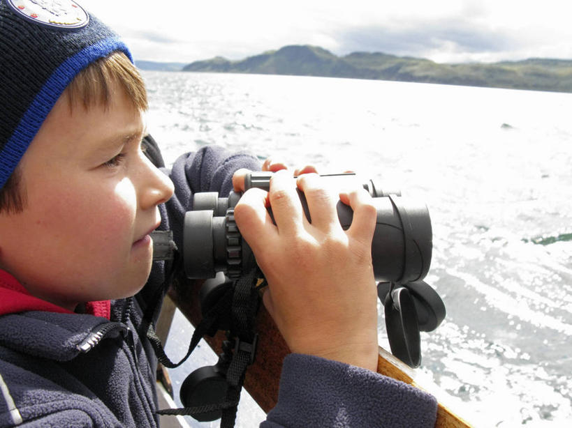 无人,躺,横图,哺乳动物,海豹,野生动物,英国,欧洲,苏格兰,动物,摄影,考古学,英国文化,斑海豹,内赫布里底群岛,外赫布里底群岛,彩图,旅行,海港