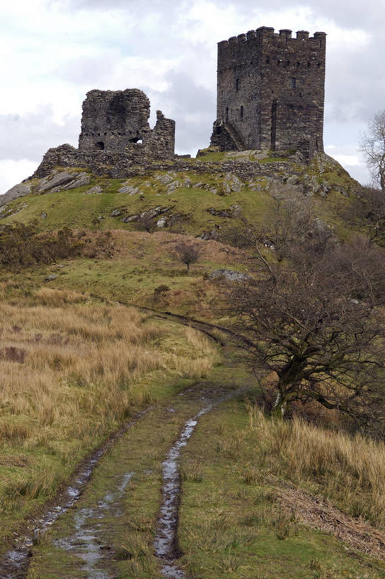 横图,旅游,建筑,英国,城堡,围墙,塔,地标建筑,摄影,保护,要塞,威尔士,格温内思郡,彩图,旅行,联合国教科文组织,北威尔士