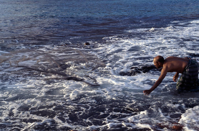 成年人,一个人,渔夫,竖图,渔业,也门,仅一个男性,网,鱼类,社区,摄影,印度洋,鱼网,男人,群岛,彩图,钓鱼,阿拉伯海