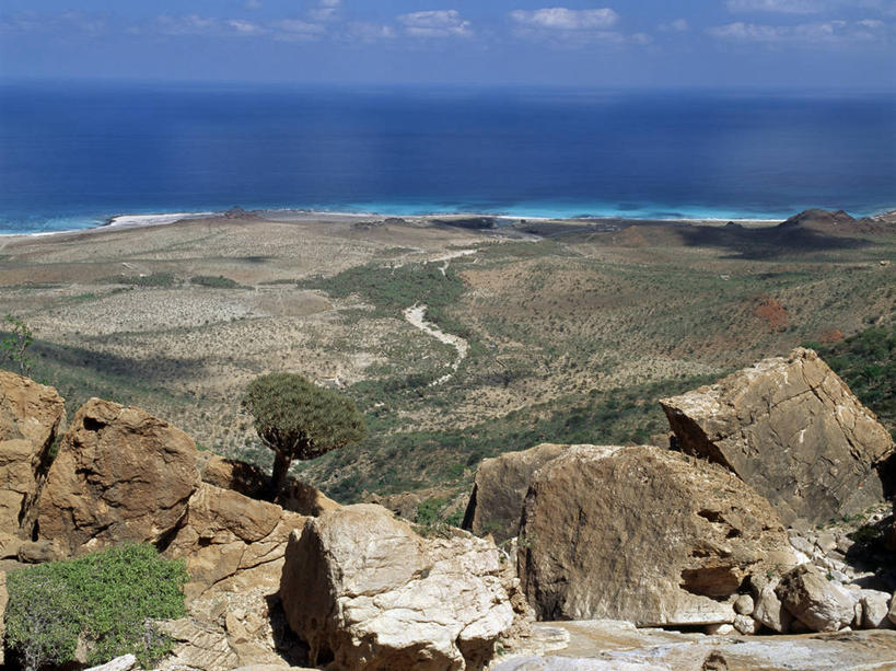 无人,竖图,室外,也门,摄影,印度洋,朱砂,群岛,彩图