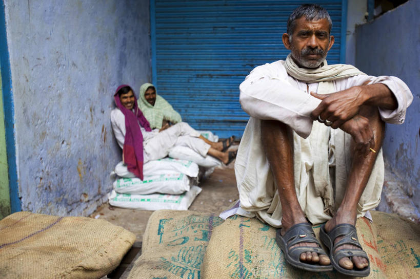 无人,横图,室外,植物,也门,树,摄影,印度洋,群岛,彩图