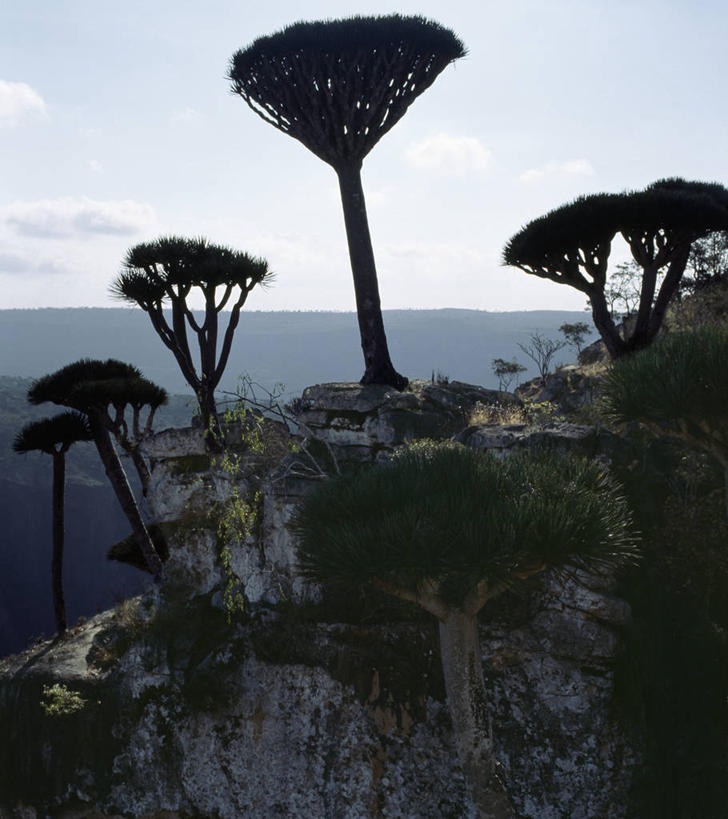 无人,横图,室外,也门,摄影,印度洋,石灰石,群岛,彩图