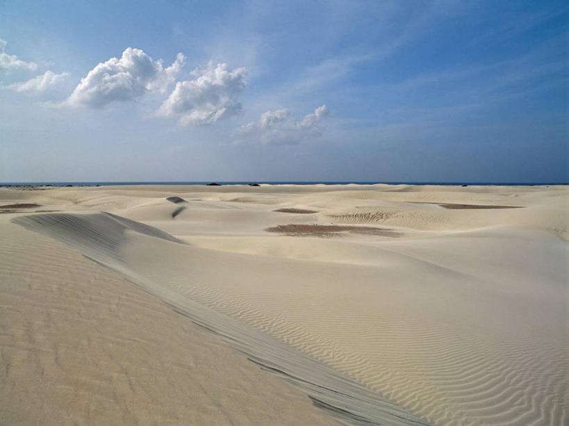 成年人,两个人,渔夫,竖图,室外,也门,社区,摄影,印度洋,男人,群岛,彩图,钓鱼,传统文化