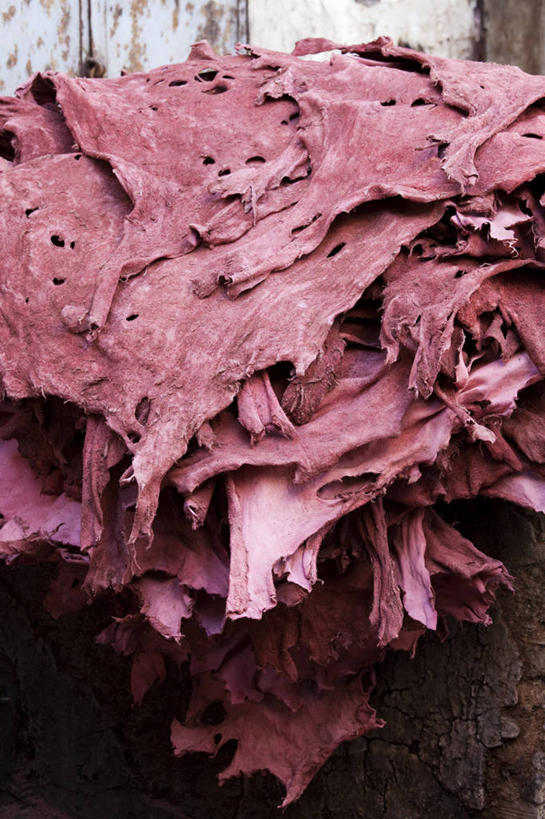 无人,竖图,非洲,摩洛哥,皮革,北,摄影,死亡,食品加工厂,染料,费兹,摩洛哥文化,彩图,旅行