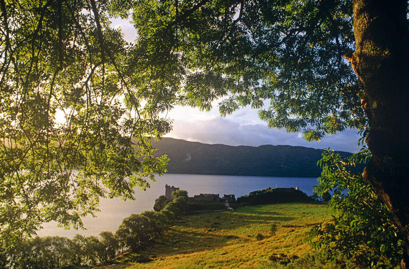 无人,竖图,室内,购物,建筑,英国,粘稠,眼镜,调料,糖,调味品,首都,调味料,现代,摄影,糖浆,圆顶建筑,黏稠,浓厚,贝尔法斯特,彩图,旅行