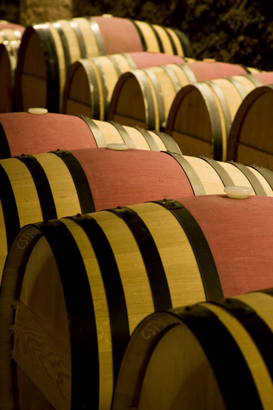 葡萄酒,无人,竖图,西班牙,欧洲,巴塞罗那,酒类,酒,饮料,红色,摄影,加泰隆尼亚,彩图,旅行,尝