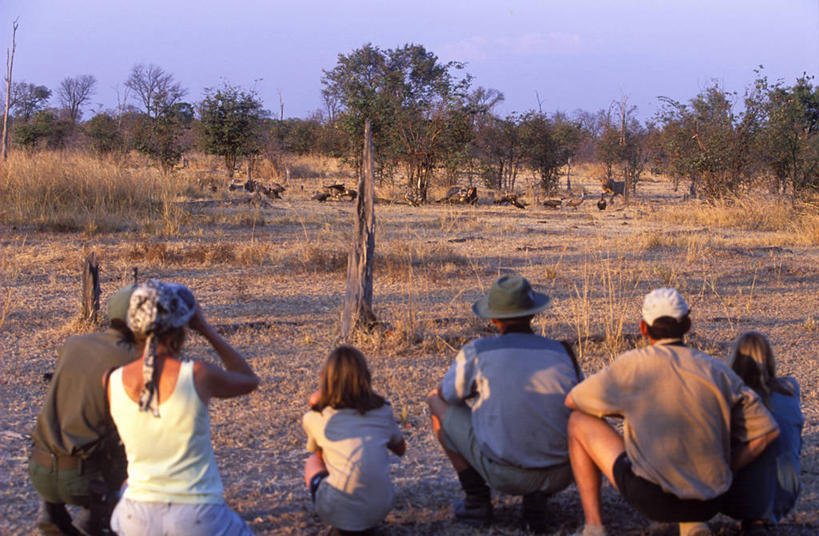 家庭,导游,横图,室外,白天,河流,非洲,赞比亚,打开,摄影,开启,四驱车,双筒望远镜,彩图