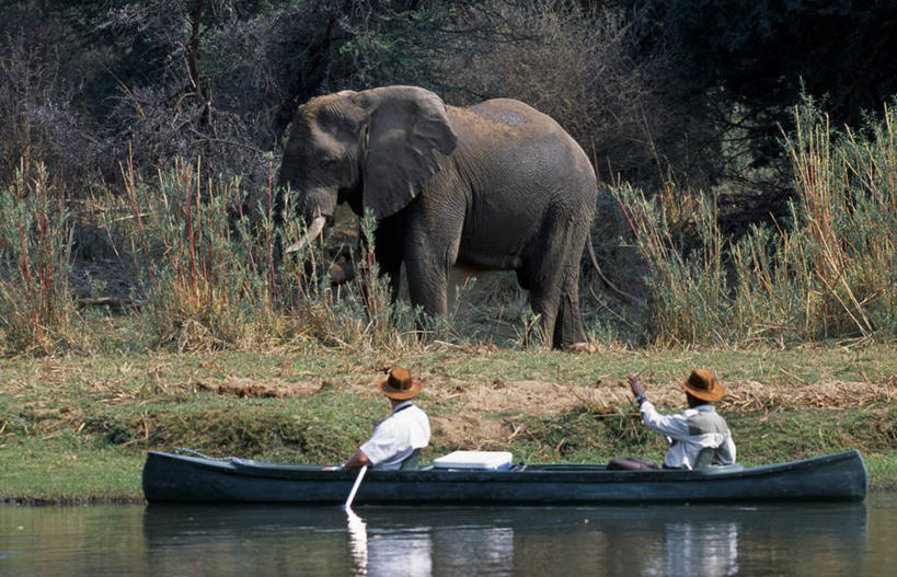 无人,竖图,室外,河流,日落,椅子,非洲,赞比亚,灯笼,河岸,座位,饮料,黄昏,思考,安静,放松,摄影,宁静,苏打水,国家公园,赞比西河,彩图
