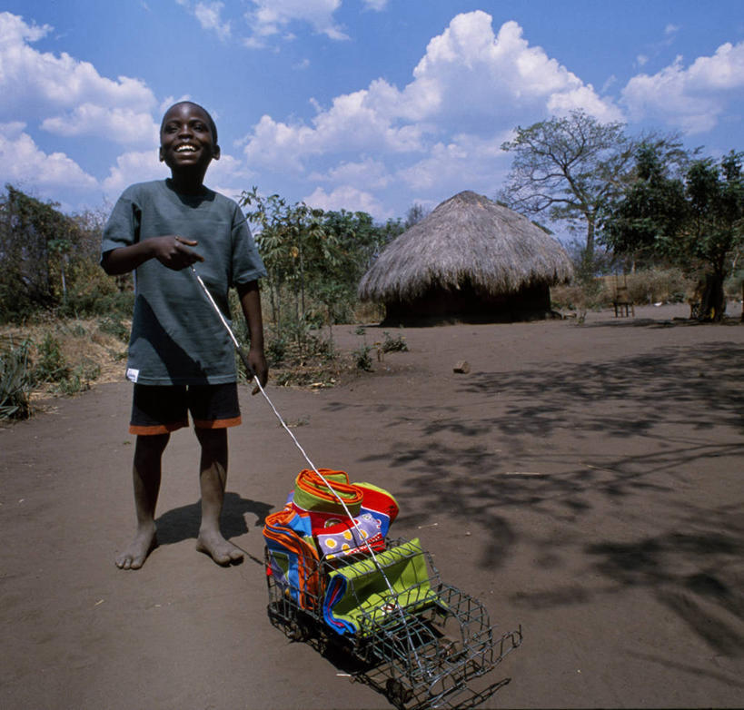 无人,横图,室外,哺乳动物,野生动物,疣猪,猪,非洲,赞比亚,长牙,野猪,动物,摄影,国家公园,觅食,野生动物保护区,喂养,卡富埃国家公园,自然保护区,彩图