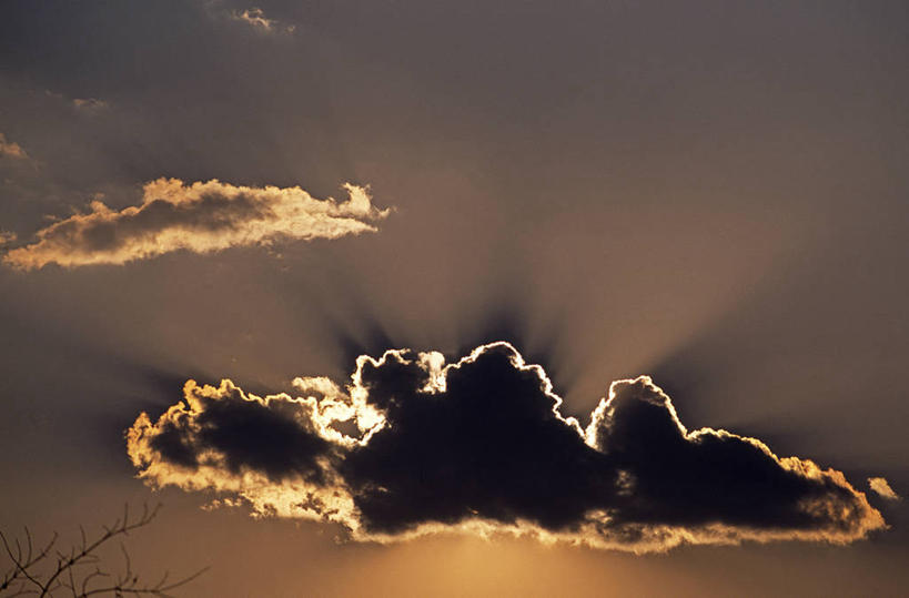 无人,横图,室外,哺乳动物,野生动物,疣猪,猪,非洲,赞比亚,长牙,野猪,动物,摄影,国家公园,觅食,野生动物保护区,喂养,卡富埃国家公园,自然保护区,彩图