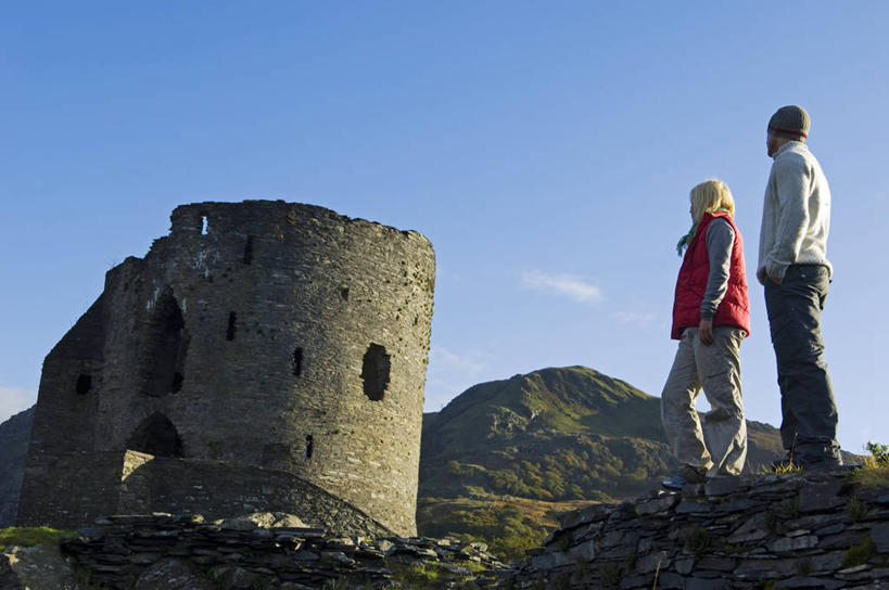 无人,公园,横图,棕榈树,雕塑,赞比亚,艺术,首都,热,摄影,纪念,留念,锋利,尖锐,铜,手艺,怀念,卢萨卡,美术工艺,彩图,国家纪念碑