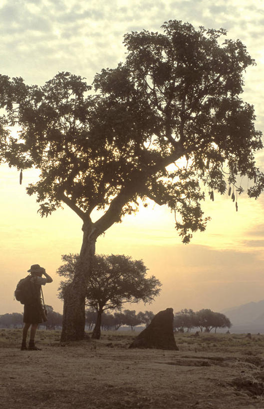 无人,横图,非洲,津巴布韦,陆地,泥土,摄影,泥,干的,彩图