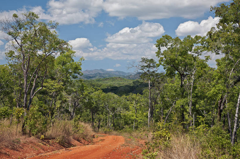 无人,横图,室外,森林,山,非洲,坦桑尼亚,摄影,东非,红土,彩图