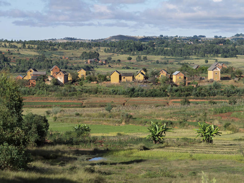 无人,农场,横图,室外,农业,植物,非洲,马达加斯加,房屋,稻田,摄影,苏格兰高地,彩图,传统文化