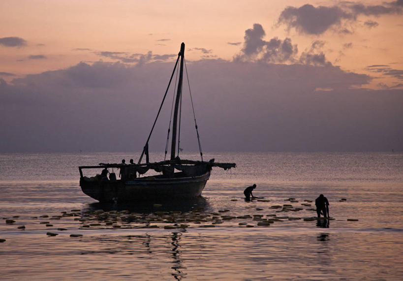 成年人,无人,横图,日出,海洋,船,非洲,坦桑尼亚,集装箱,黎明,货柜,容器,箱子,运输,摄影,活动,印度洋,物流,东非,男人,彩图,海港,达累斯萨拉姆