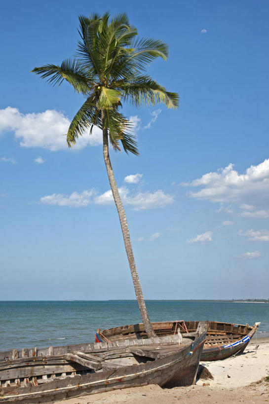 成年人,一个人,博物馆,竖图,非洲,坦桑尼亚,仅一个女性,节日,文化,祈祷,健康,许愿,摄影,宗教,信仰,纪念,祈求,基督教,天主教,东非,平安,女人,修女,彩图,达累斯萨拉姆