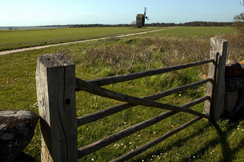 无人,农场,横图,室外,风车,瑞典,欧洲,岛,草,平原,摄影,斯堪的纳维亚,斯堪狄纳维亚半岛,彩图,波罗的海三国