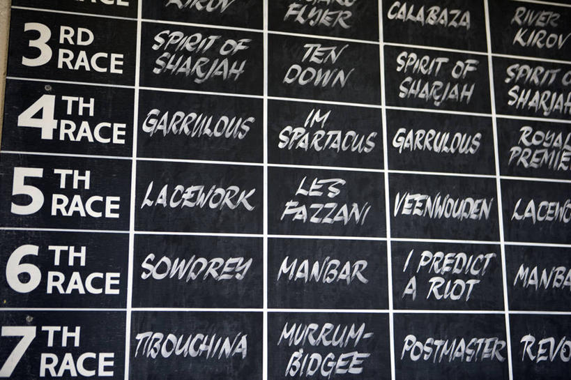 无人,横图,锻炼,快乐,赌博,比赛,运动,竞争,马,英国,娱乐,英格兰,黑板,休闲,摄影,体育运动,障碍赛,奇切斯特,体育,赛马,彩图,健身,径赛,策骑者,骑师,赛马骑师,古德伍德