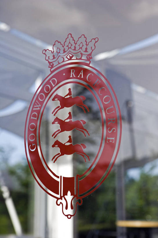 无人,竖图,锻炼,快乐,赌博,比赛,运动,竞争,马,英国,标志,符号,娱乐,英格兰,休闲,摄影,体育运动,障碍赛,奇切斯特,体育,休闲活动,彩图,健身,径赛,策骑者,骑师,赛马骑师,古德伍德