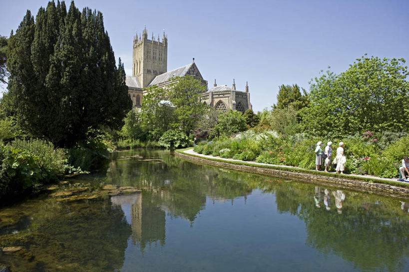 无人,教堂,横图,室外,度假,植物,城市,英国,墙,池塘,塔,历史,英格兰,树,夏天,摄影,宗教,井,宗教建筑,拜访,圣安德鲁斯,彩图,大教堂,西南英格兰,英国国教