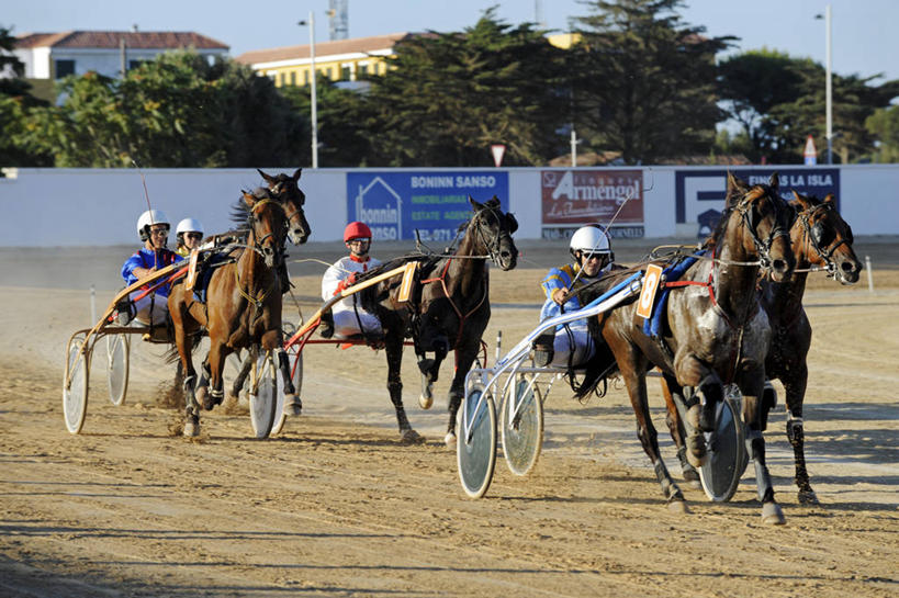 无人,宫殿,竖图,俄罗斯,十字架,锥子,穹顶,蓝色,摄影,东欧,前苏联,叶卡捷琳娜宫,叶卡捷琳娜女皇,彩图,皇宫