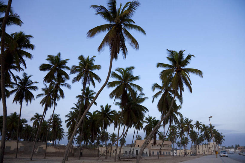 无人,游泳池,横图,旅游,度假,海洋,酒店,棕榈树,阿曼,娱乐,享受,休闲,放松,摄影,中东,华贵,波斯湾,塞拉莱,彩图,阿拉伯半岛