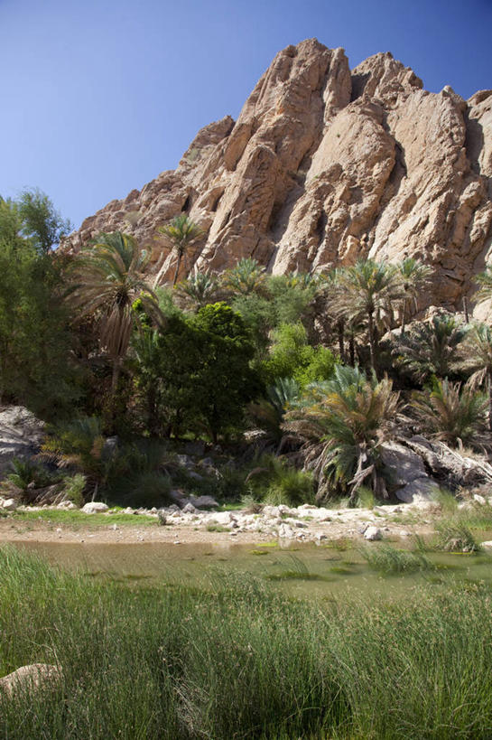 儿童,成年人,两个人,家庭,父亲,儿子,导游,横图,沙漠,火,阿曼,做,温暖,温馨,一家人,摄影,和睦,中东,干的,波斯湾,沙岩,男人,男性,烹调,彩图,阿拉伯半岛,融洽,贝多因人