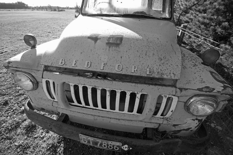 无人,横图,室外,旅游,热情,海洋,植物,建筑,酒店,希腊,欧洲,房屋,岛,悬崖,城镇,花,白色,风景,陡峭,摄影,住房,基克拉迪群岛,圣托里尼岛,地中海文化,希腊文化,发展,希腊共和国,思念,火把莲,火炬百合,火炬花,基克拉泽斯群岛,海滩,彩图,旅行,剑叶兰,海上运输